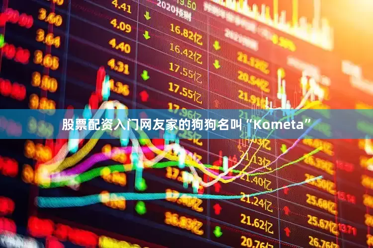 股票配资入门网友家的狗狗名叫“Kometa”
