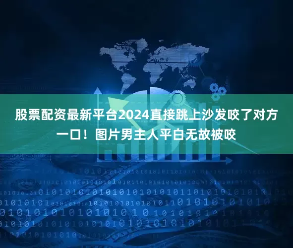 股票配资最新平台2024直接跳上沙发咬了对方一口！图片男主人平白无故被咬